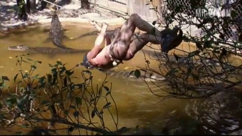 The Chris pontius nude important answer Chris pontius nude assured, that