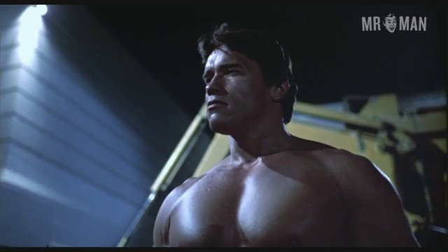 Terminator schwarzenegger 01 frame 3