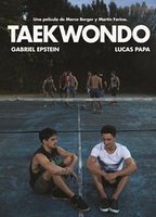 taekwondo